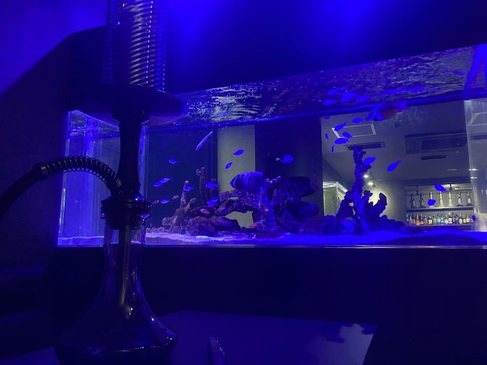 シーシャカフェ&バー&アクアリウム Ripples/リプルズ 札幌店