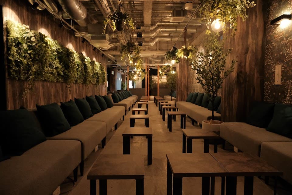 シーシャ カフェ&バー C.STAND シースタンド なんば道頓堀店